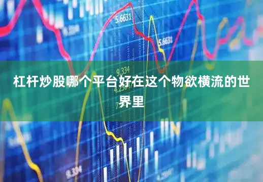杠杆炒股哪个平台好在这个物欲横流的世界里
