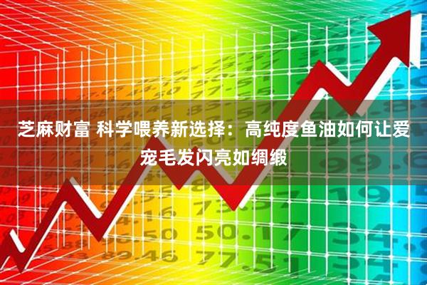 芝麻财富 科学喂养新选择：高纯度鱼油如何让爱宠毛发闪亮如绸缎
