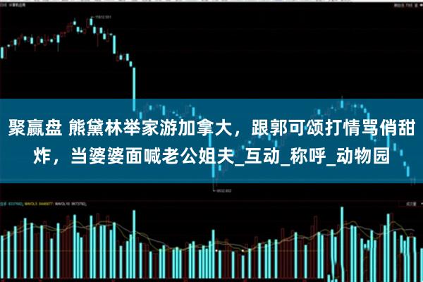 聚赢盘 熊黛林举家游加拿大，跟郭可颂打情骂俏甜炸，当婆婆面喊老公姐夫_互动_称呼_动物园