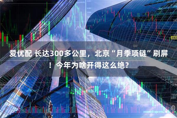 爱优配 长达300多公里，北京“月季项链”刷屏！今年为啥开得这么绝？