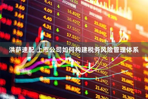 洪萨速配 上市公司如何构建税务风险管理体系