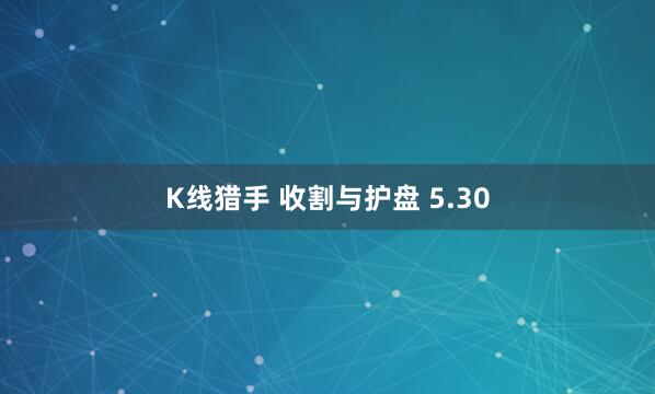 K线猎手 收割与护盘 5.30