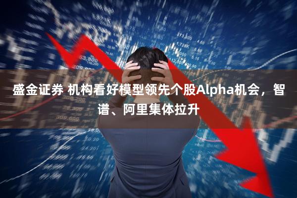 盛金证券 机构看好模型领先个股Alpha机会，智谱、阿里集体拉升